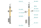 Dřevěný sloup, boční kotvení, výplň: sklo, průchozí, vrch pevný (40x40mm), materiál: buk, broušený povrch s nátěrem BORI (bezbarvý)