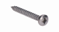 Nerezová skrutka samorezná (3,5x19mm) polguľatá hlava, DIN7981C/A2 /AISI304 - Rozměr: 3,5x19, Závit: Průměr 3,5/19