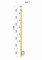 Dřevěný sloup, boční kotvení, 5 řadový, průchozí, vnější, vrch pevný (ø42 mm), materiál: buk, broušený povrch s nátěrem BORI (bezbarvý)