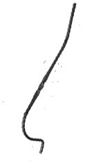 Kovaná výplň zábradlí H 800mm, 12x12mm